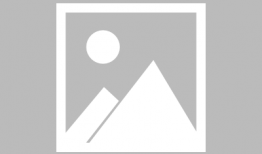 收割机视频,收割机高效作业现场直击